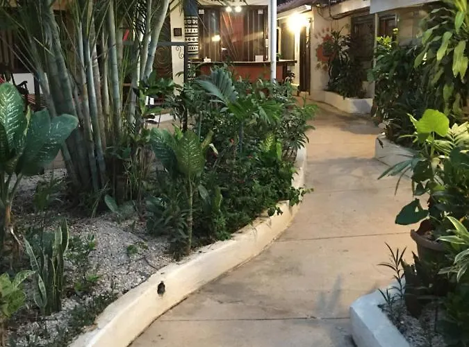 Hostal Pura Vida *