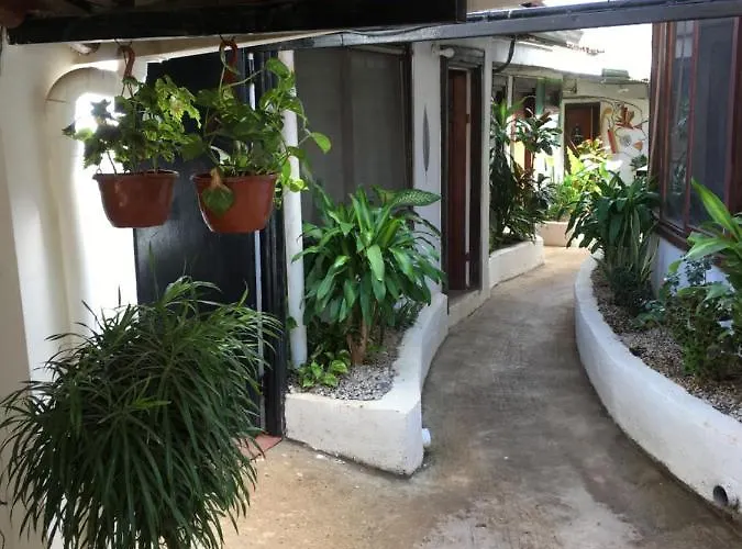 Pura Vida Tamarindo