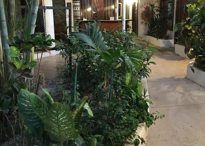 Hostal Pura Vida