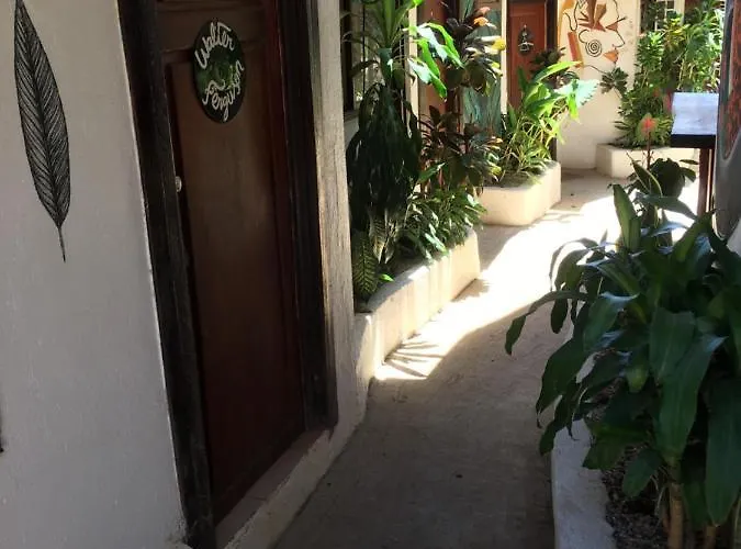 Pura Vida