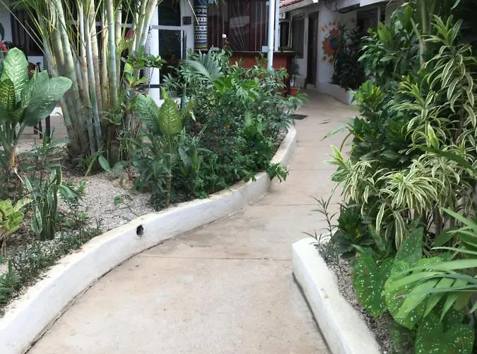 Pura Vida * Tamarindo
