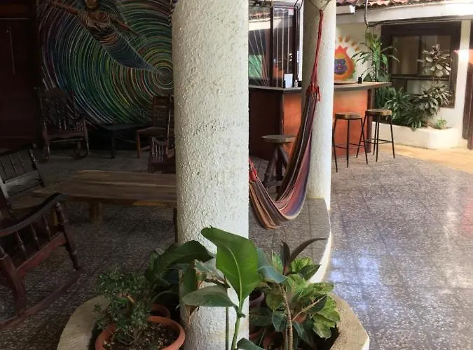Pura Vida Hostal