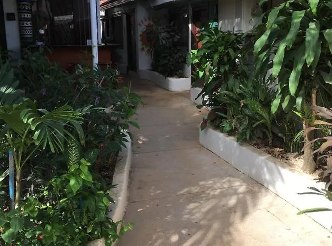Pura Vida * Tamarindo