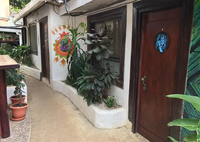 Pura Vida Tamarindo