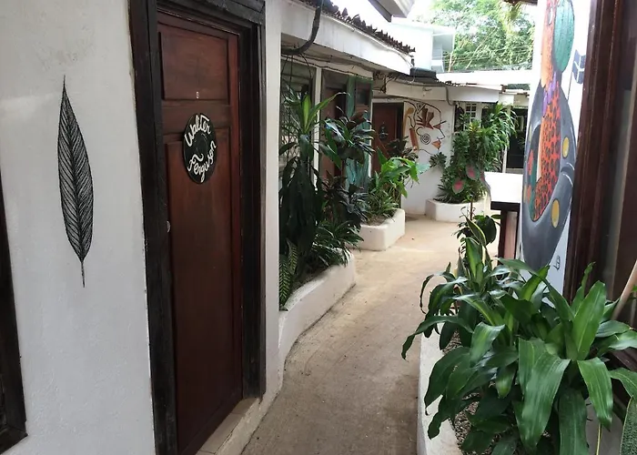 Pura Vida *