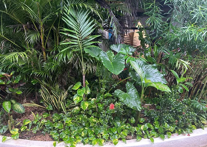 Pura Vida