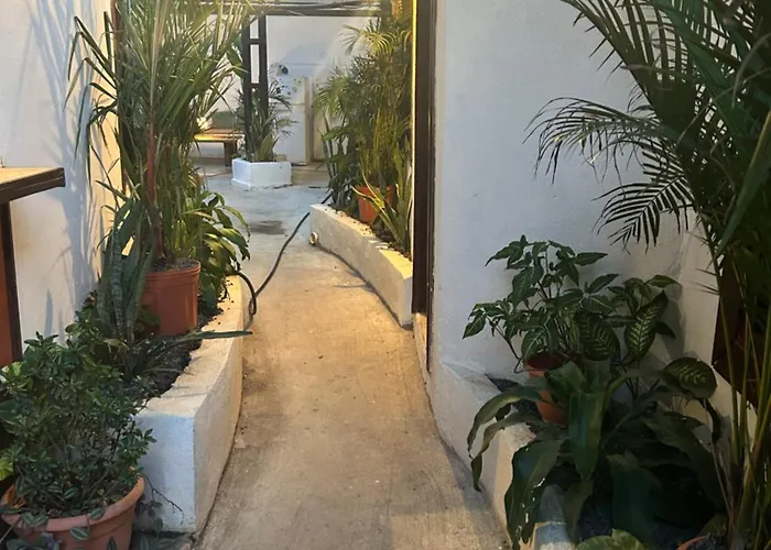 Pura Vida Hostal *