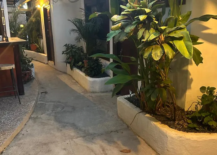 Pura Vida Tamarindo