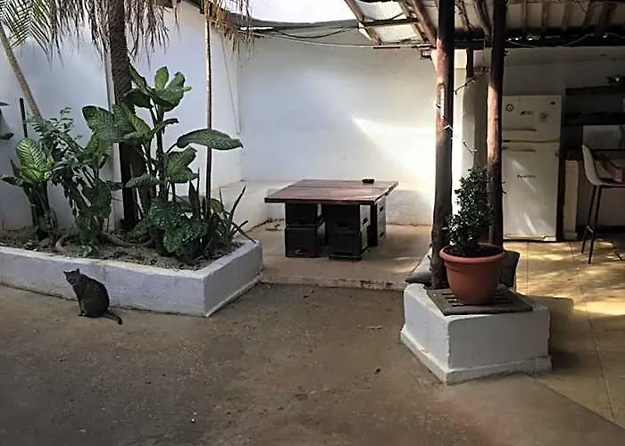 Pura Vida Hostal