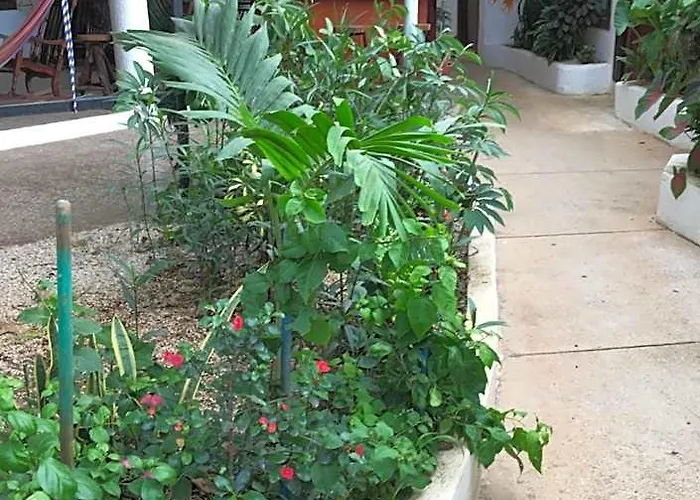 Pura Vida * Tamarindo
